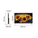 65-inch CHiQ QLED Google TV U65QM10 with Dolby Vision Atmos and dimensions showing 1445.3\text{ mm width, 831.5mm height, and 300.9mm depth on stand.
